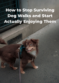 How to Stop Surviving Dog Walks and Start Actually Enjoying Them