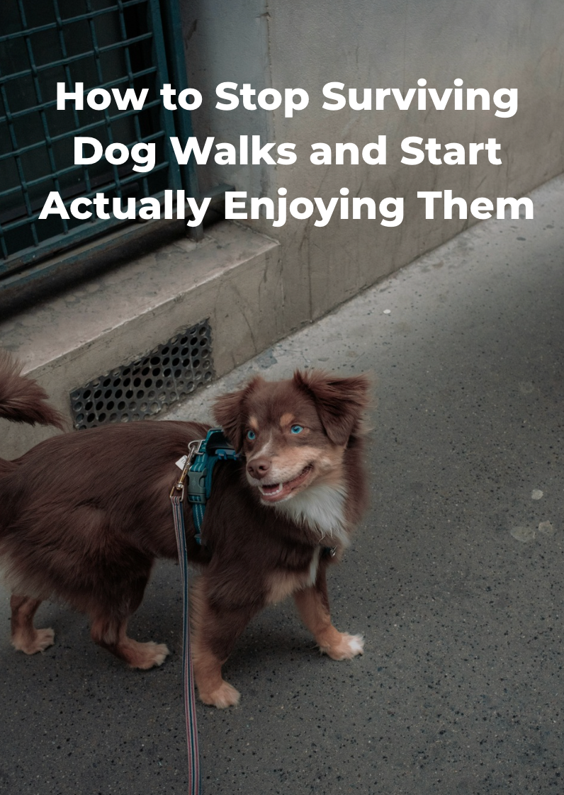 How to Stop Surviving Dog Walks and Start Actually Enjoying Them