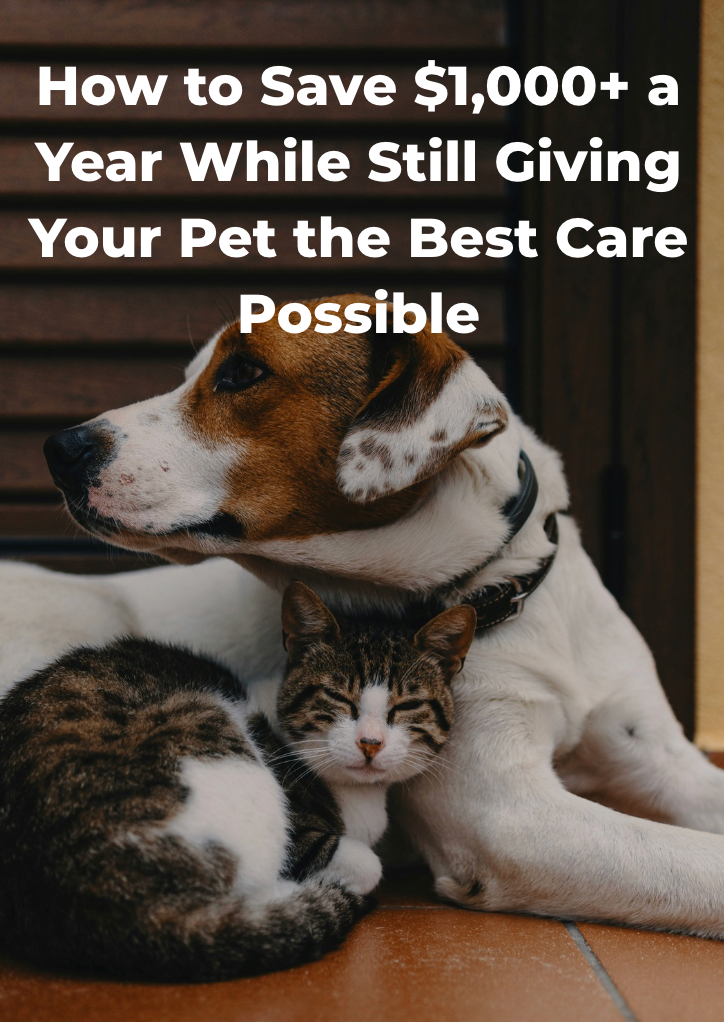How to Save $1,000+ a Year While Still Giving Your Pet the Best Care Possible